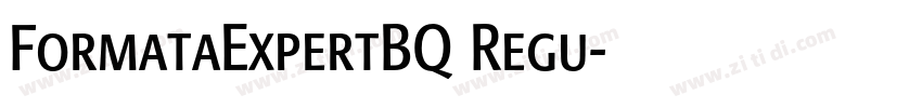 FormataExpertBQ Regu字体转换